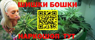 МДПВ Лесосибирск