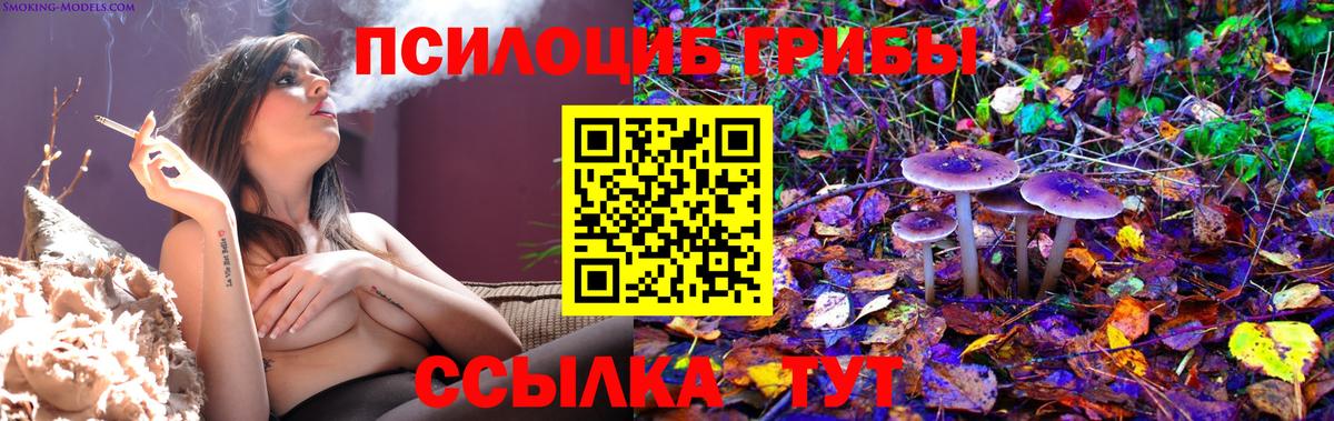 Псилоцибиновые грибы мицелий  Вход с VPN  Шахты  Псилоцибиновые грибы мухоморы 
