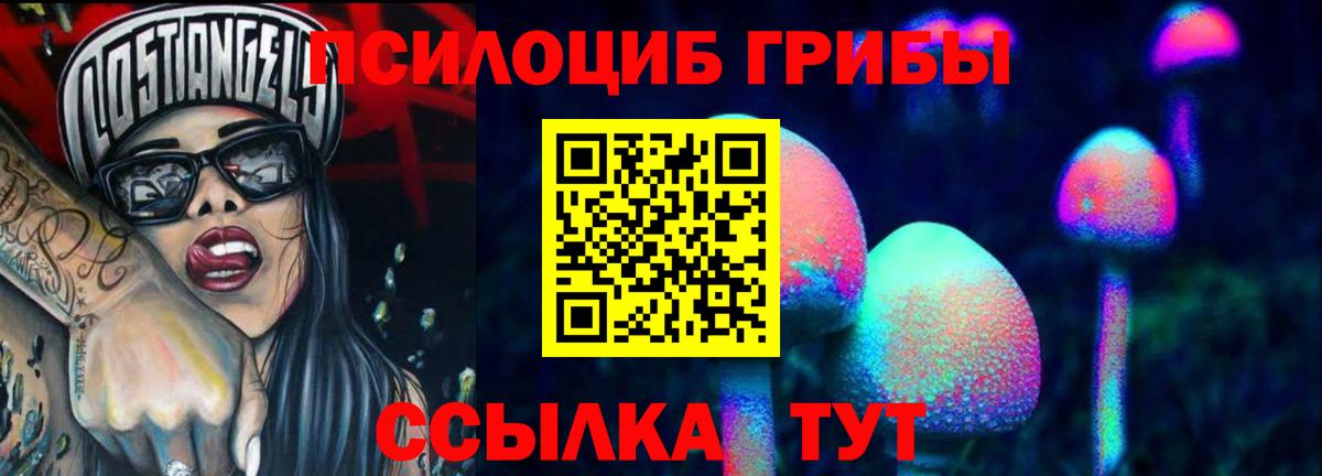 Галлюциногенные грибы ЛСД Шахты